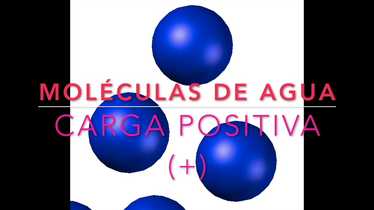 ¿Que es capacidad de campo (cc) y punto de marchitez permanente (pmp)?