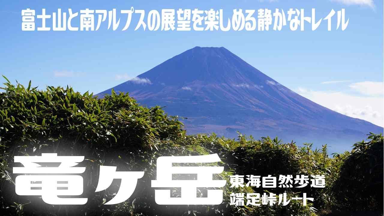 【登山】竜ヶ岳から富士山と南アルプスの絶景✨端足峠ルート🌳静かにゆる山したい人向き♪2024.11.9
