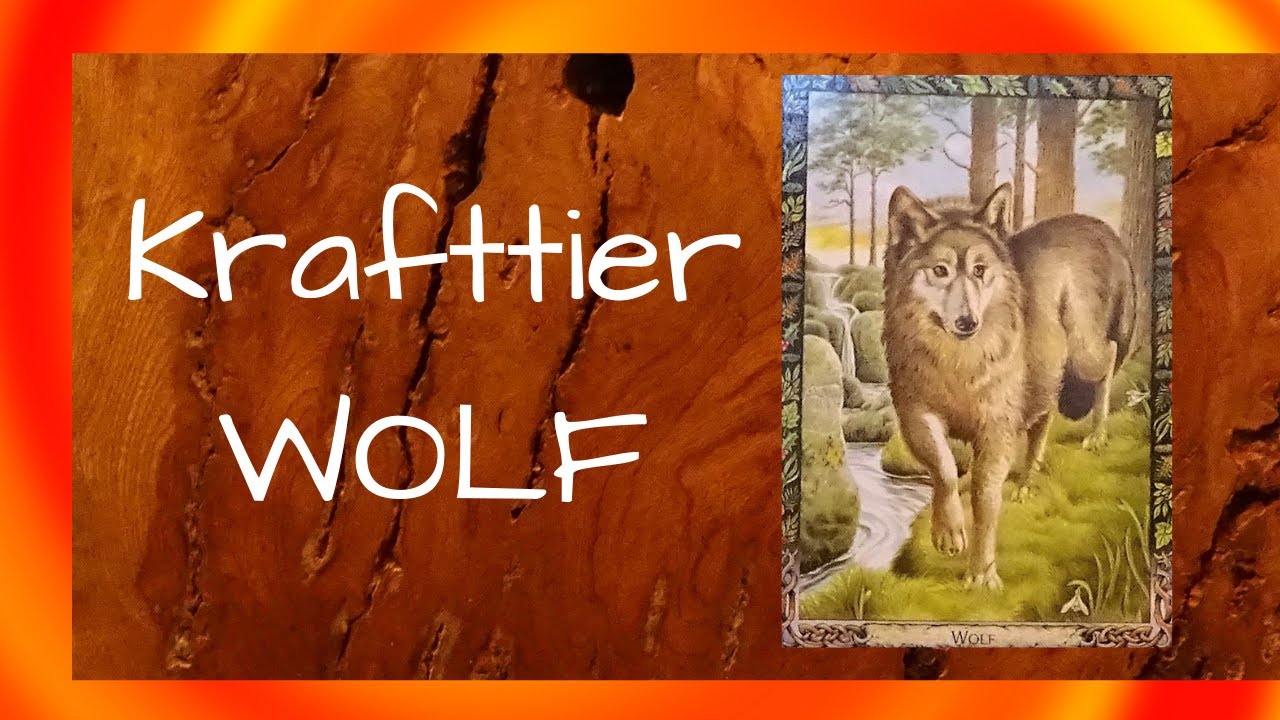 Krafttier WOLF 🧡 Den eigenen inneren Lehrer finden und so Wegbereiter, Pfad-Finder f&uuml;r andere werden