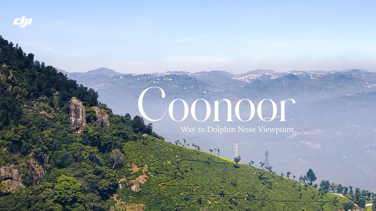 This is Why You Must Visit Coonoor! ⛰️ | Dolphin's Nose Drone Shot