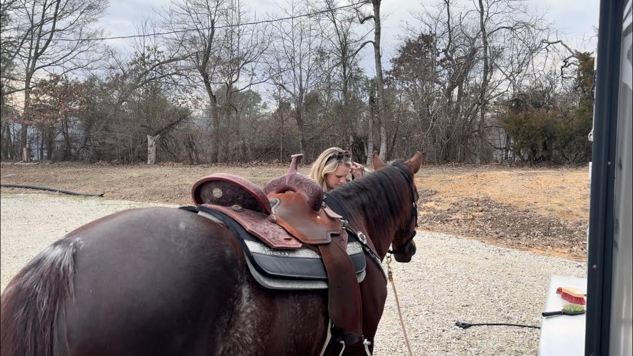 Tacking Up with Stella… And Something That Really Bugs Me!