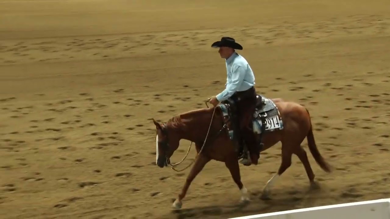 2025 Quarter Horse Congress Senior Ranch Riding Mark Rafacz on Whizenboonsmal
