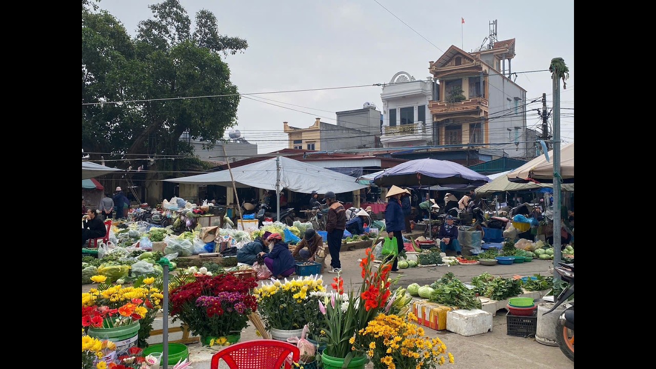 Exploring Traditional Markets in Vietnam