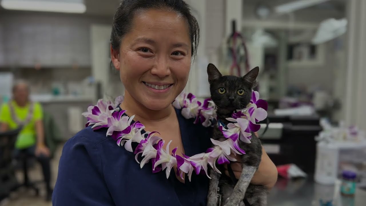 Maui Humane Society: A Community of Resilience
