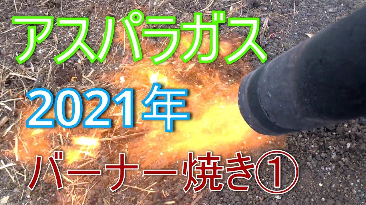 【アスパラガス】灼熱のバーナ－焼き　2021年