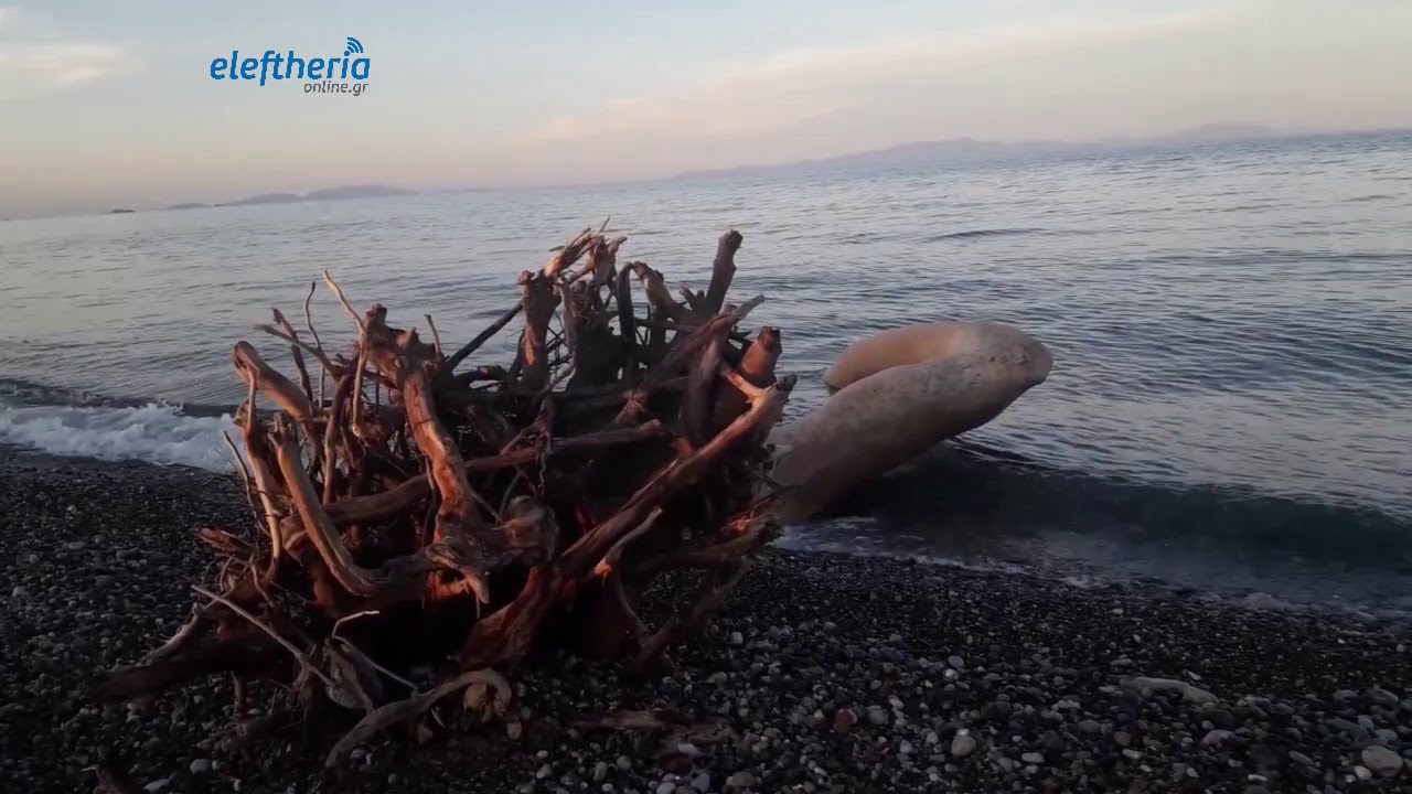 Κρύα Βρύση Μια αιγαιοπελαγίτικη παραλία που δύσκολα θα τη βρείτε γεµάτη!