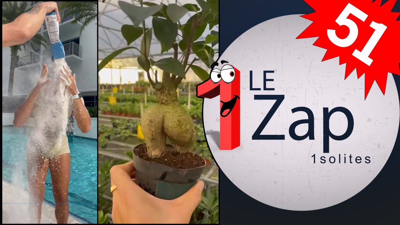 Le Zap 1solites n°51