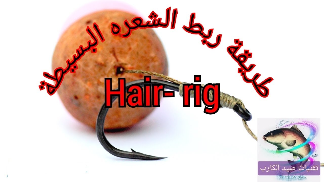 اسهل طرق ربط السنارة الخاصة بصيد الكارب (طريقة الشعرة البسيطة)