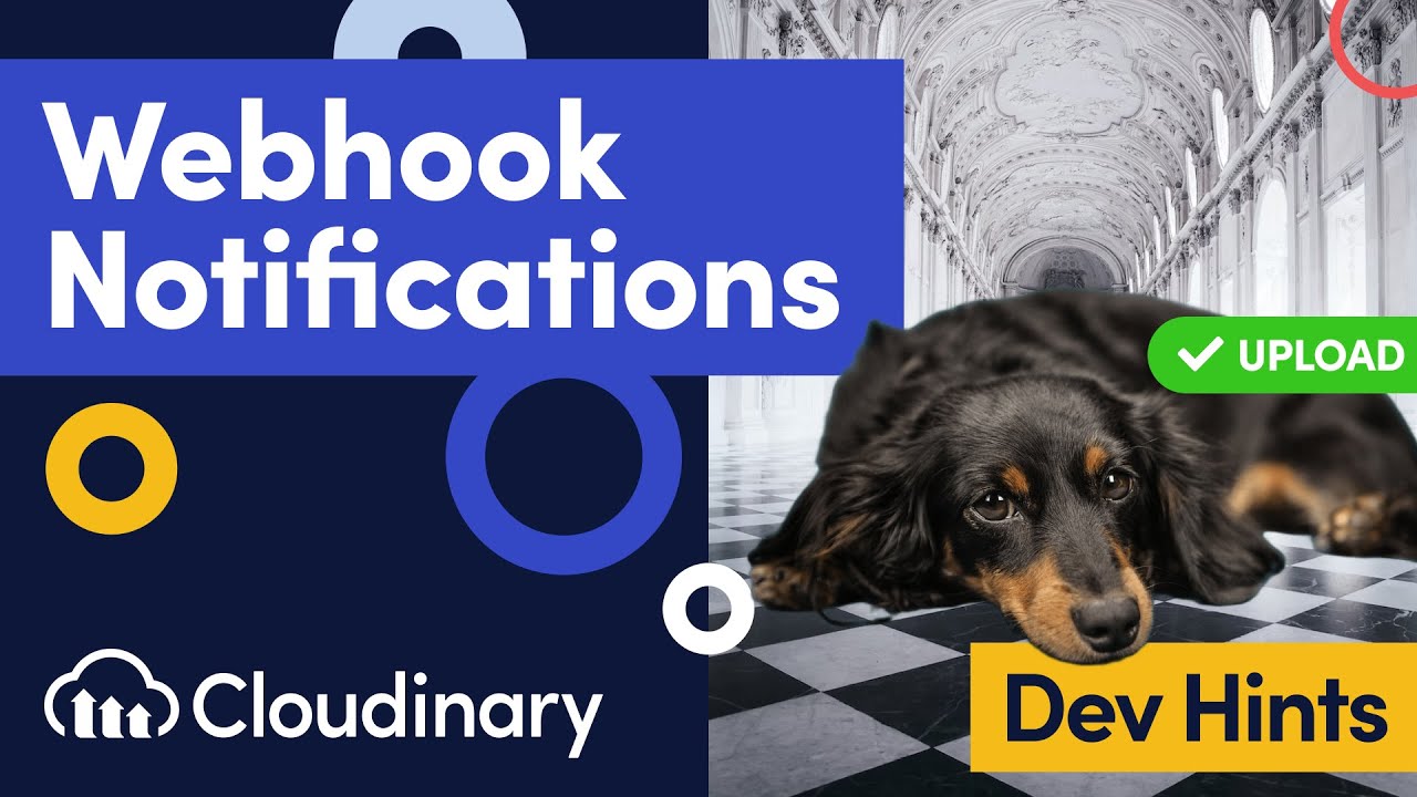 Using Webhook Notification URLs to Trigger Background Removal with Cloudinary - Dev Hints