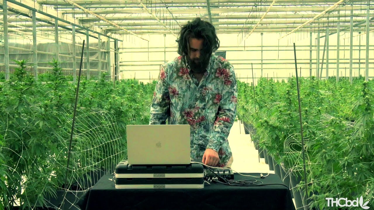 WeedYard Live Session with Muskio