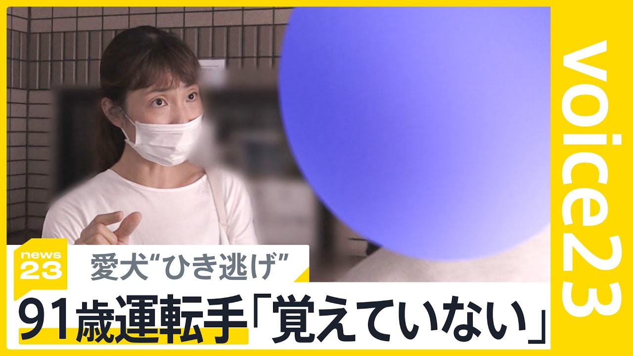 女児（6）の愛犬を“ひき逃げ” 91歳運転手が被害者に直接謝罪も「事故覚えていない」 免許返納で生活の足は？高齢ドライバー問題を徹底討論【voice23】｜TBS NEWS DIG