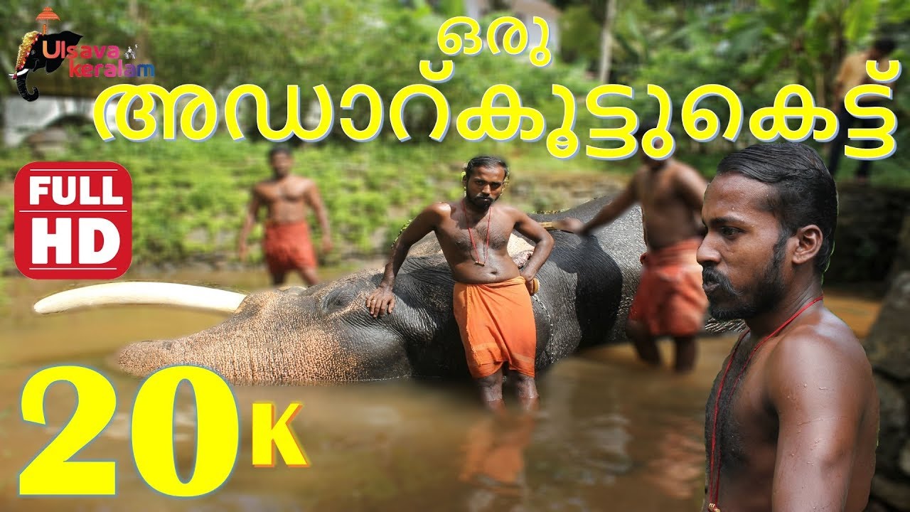 Kerala elephant:Nelliykkattu Mahadevan: ഒരു അഡാറ്കൂട്ടുകെട്ട് നെല്ല്യക്കാട്ടു മഹാദേവനും അനൂപും|EPI17