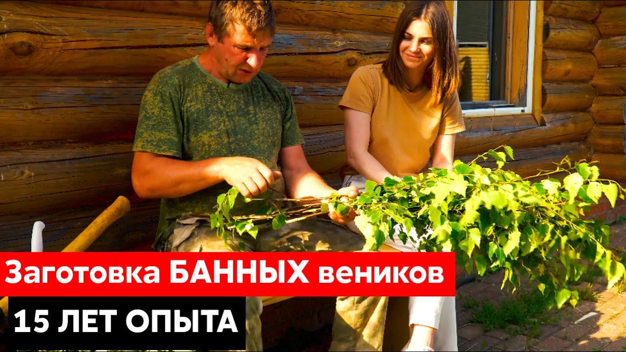 Заготовка БАННЫХ веников || 15 лет ОПЫТА