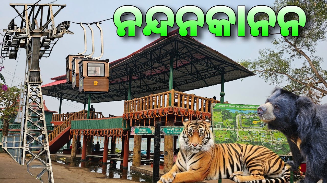Nandankanan Zoological Park | 2nd Largest Zoo of India | Rope Way | Toy Train | Tiger Safari |