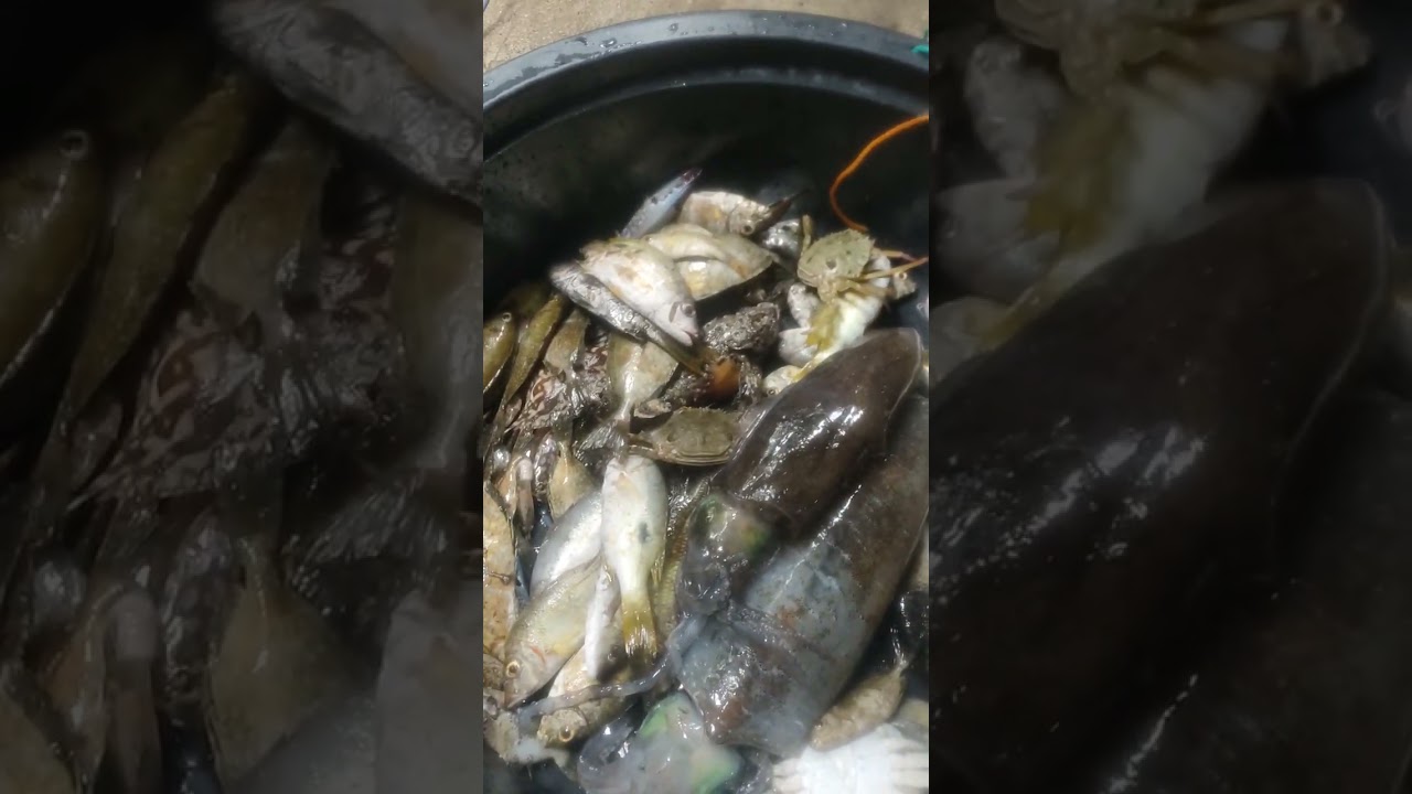 AKALA KO WALA NA KAMING HULI SOBRANG LOW TIDE NA, PERU ITO NAKA RAMI PARIN NG HULI MAY SQUID PA