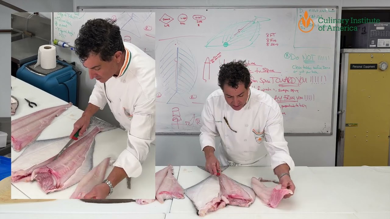 Halibut