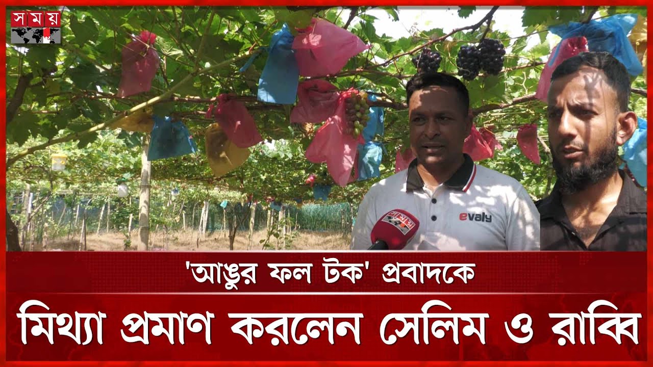 মিষ্টি আঙুর চাষে ফরিদপুরের ২ তরুণের চমক | Faridpur News | Grape farming | Somoy TV