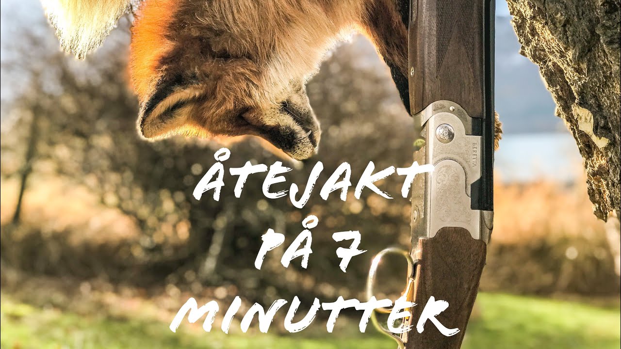 Jegerbloggen - Åtejakt på 7 minutter