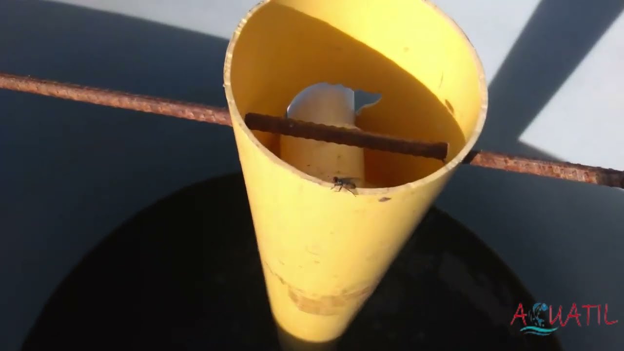 ¿Cómo hacer un tanque sedimentador para sistema Biofloc BFT?