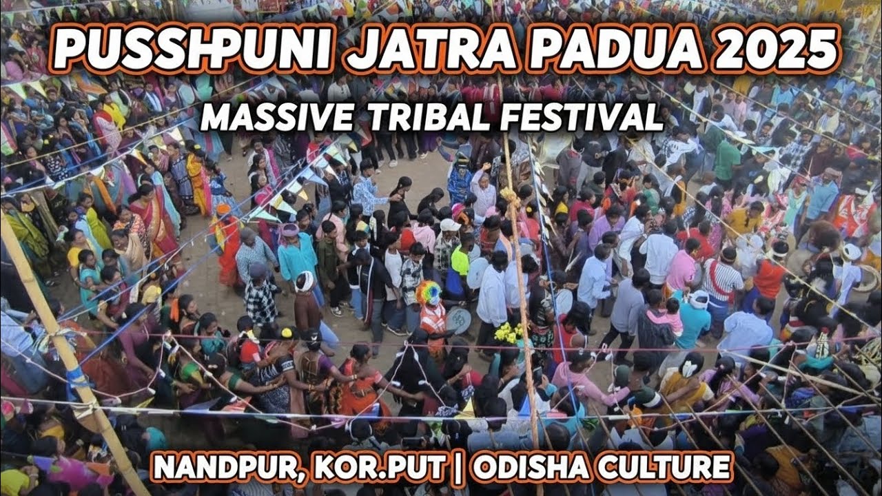 Pushpuni Jatra Padua 2025 | Massive Tribal Festival at Nandpur, Koraput | Odisha Culture 