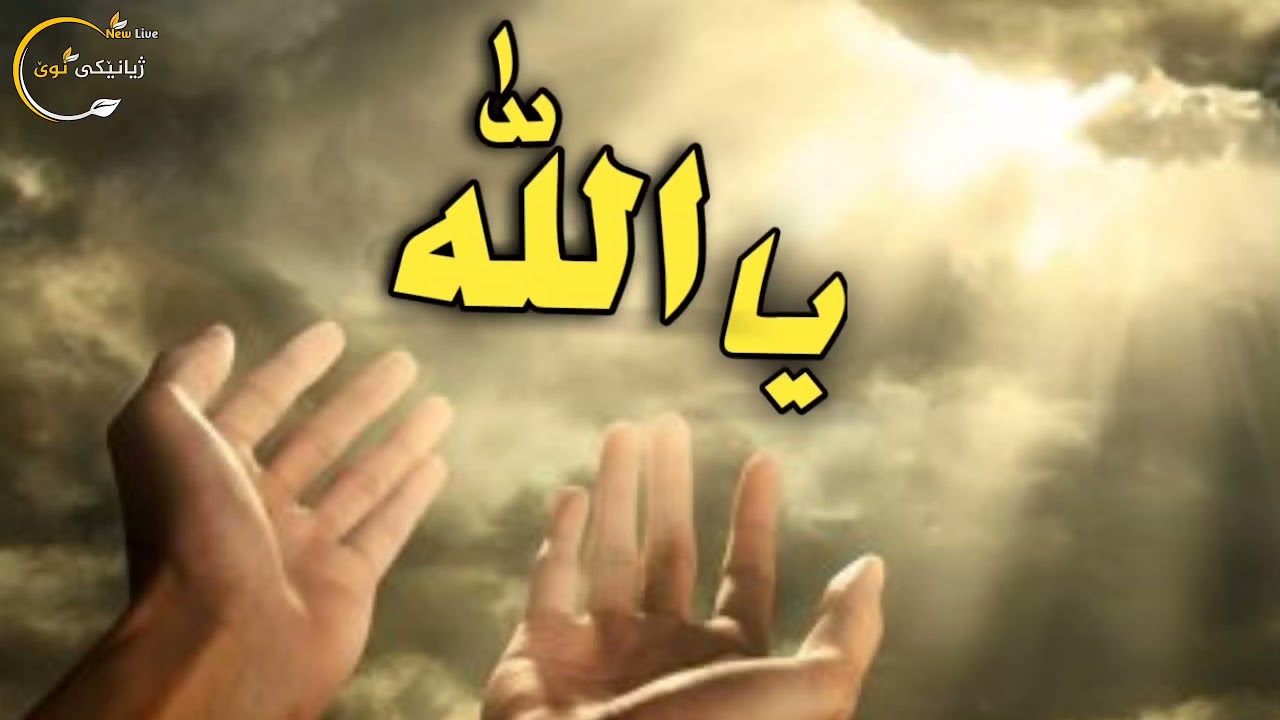 Doaa _دعاء