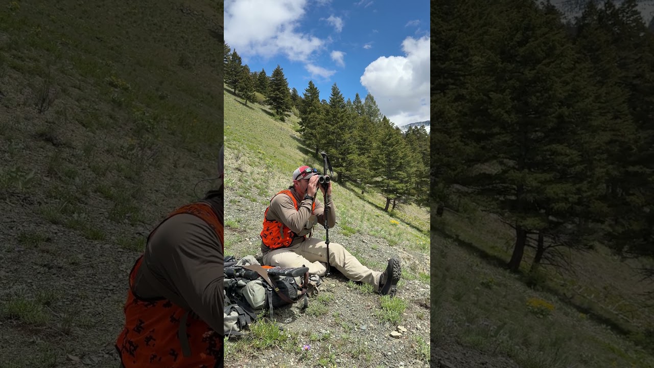 Stabilize Your Binoculars for Long Glassing Sessions | RoadRunner Rifle Rest