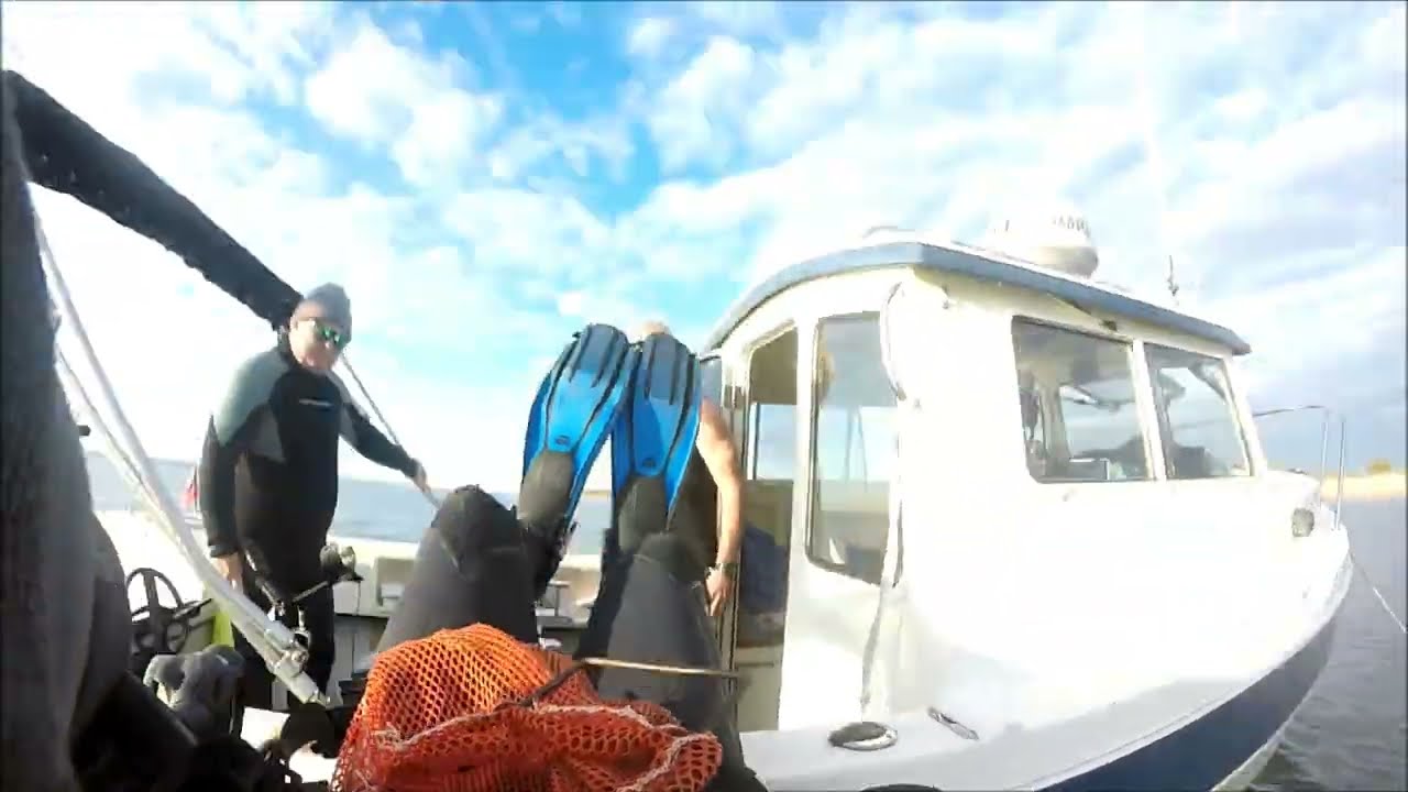 Металлоискатель — Погружение с Deus II — На ощупь в мутной воде