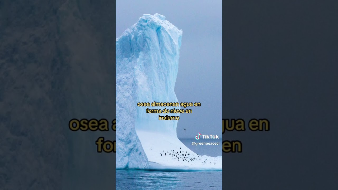 &iquest;C&oacute;mo se forman los Glaciares? Greenpeace Chile