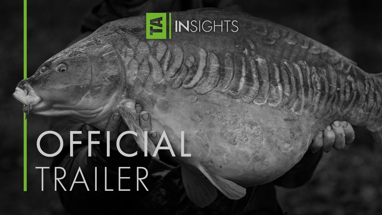 TA|Insights | Volume Four | OFFICIAL TRAILER