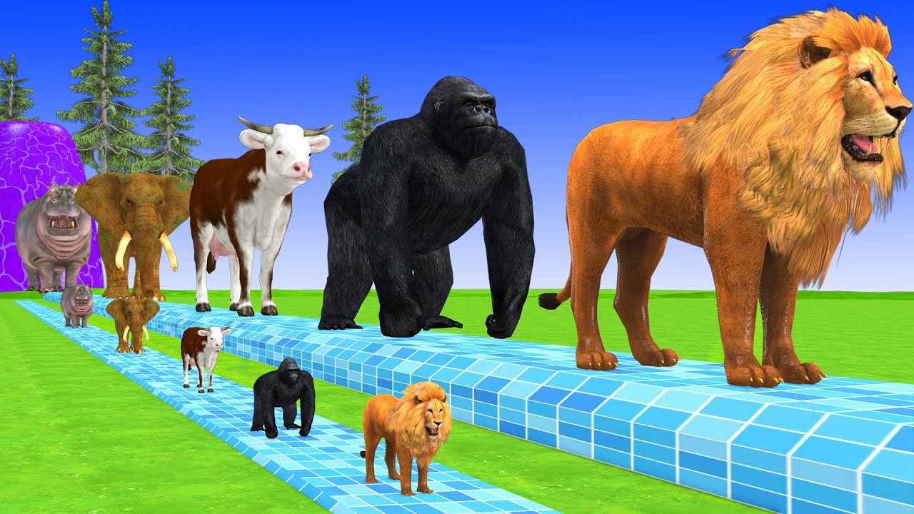 Paint Animals Cow,Lion,Elephant,Hippo,Gorrila Fountain Crossing Transformation Cartoon