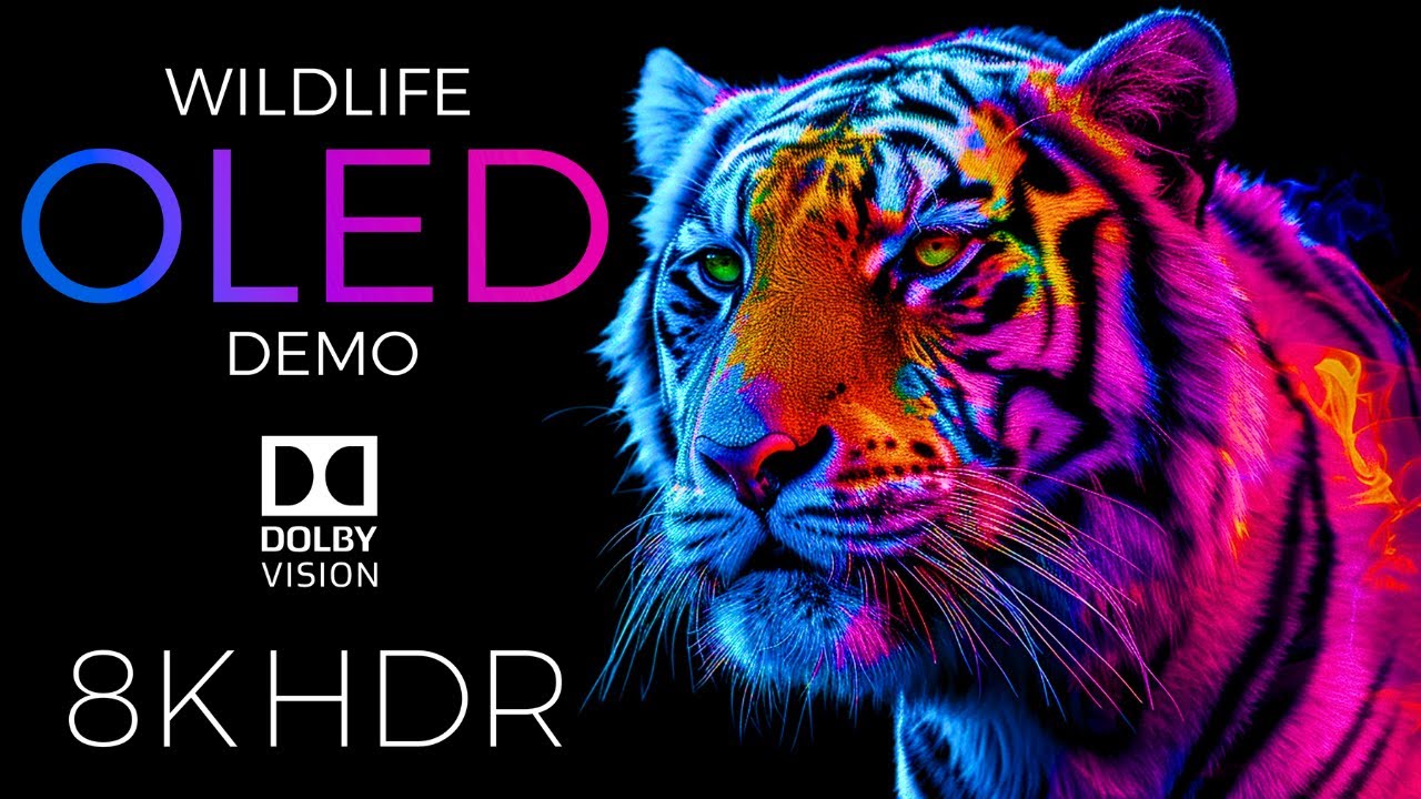 Wildlife OLED Demo HDR 8K Ultra HD Dolby Vision&trade; 60fps