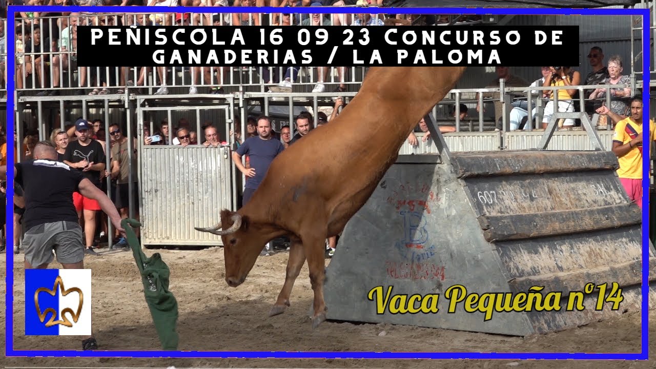 Peñíscola 16 ▪ 09 ▪ 23 Concurso de Ganaderías ▪ La Paloma