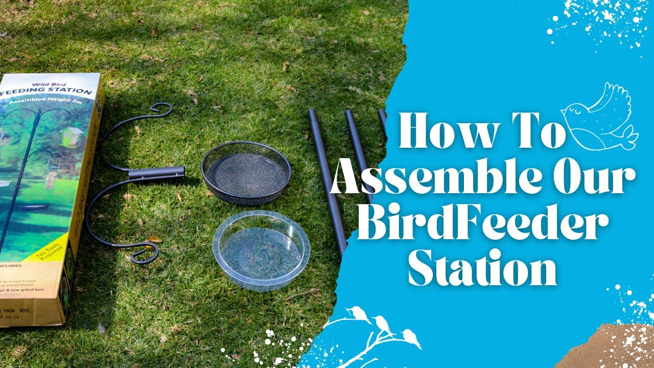 How To Assemble The Bird Feeder Station
