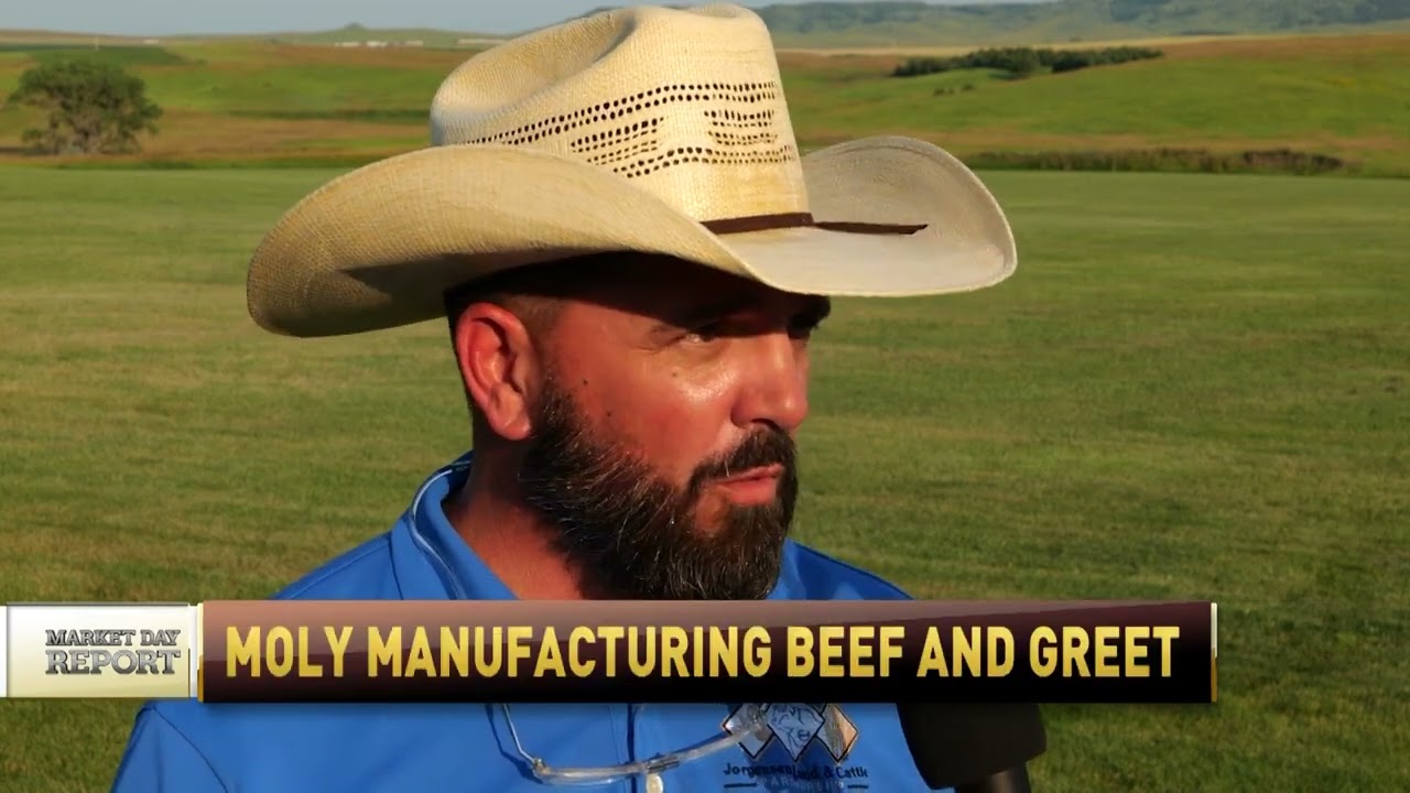 Cody Jorgensen, Jorgensen Land & Cattle -- Part 2