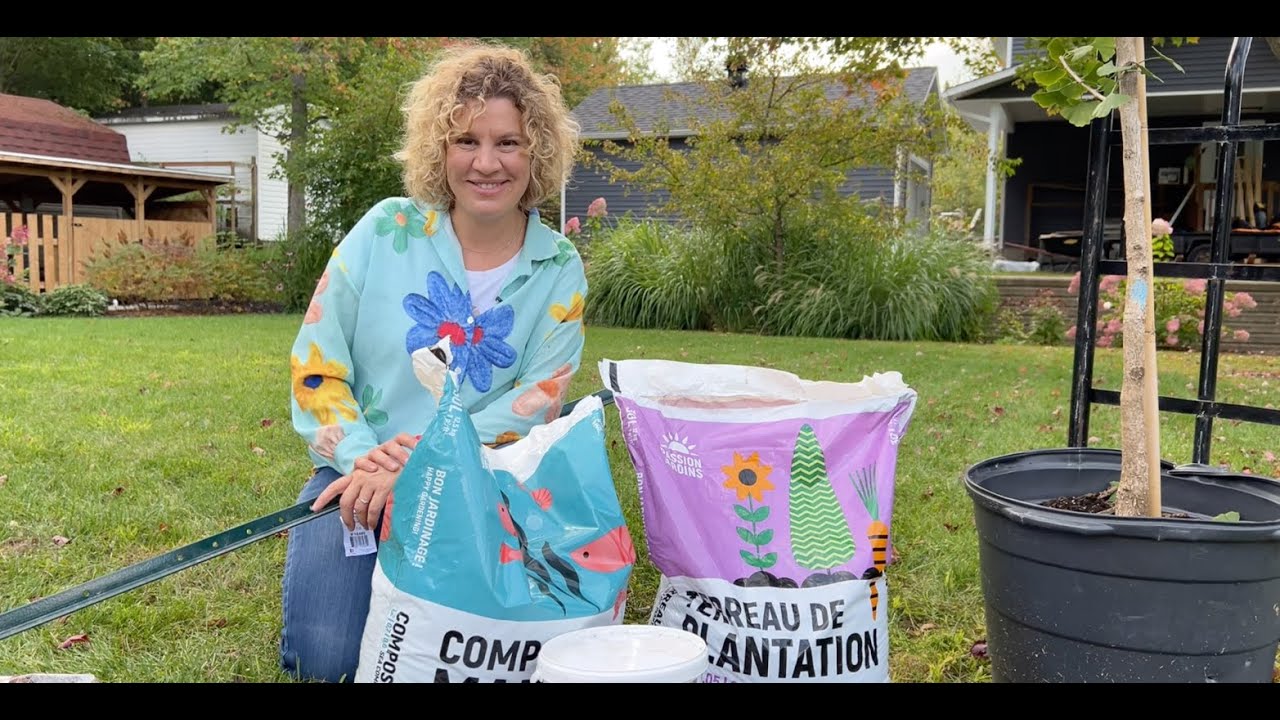 Comment planter un arbre dans un sol argileux