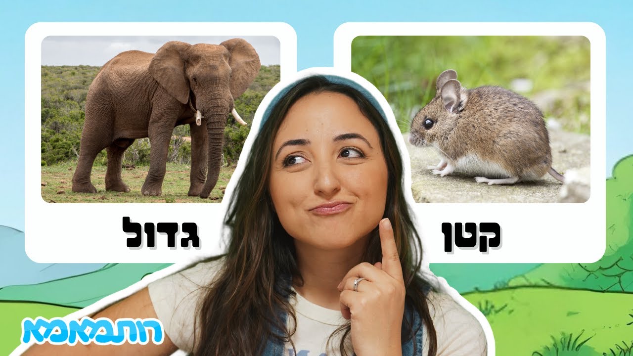 לומדים הפכים עם רותמאמא 🐘🐭 | סרטון מלא שירים, תנועה והפתעות לקטנטנים! תכנים לילדים