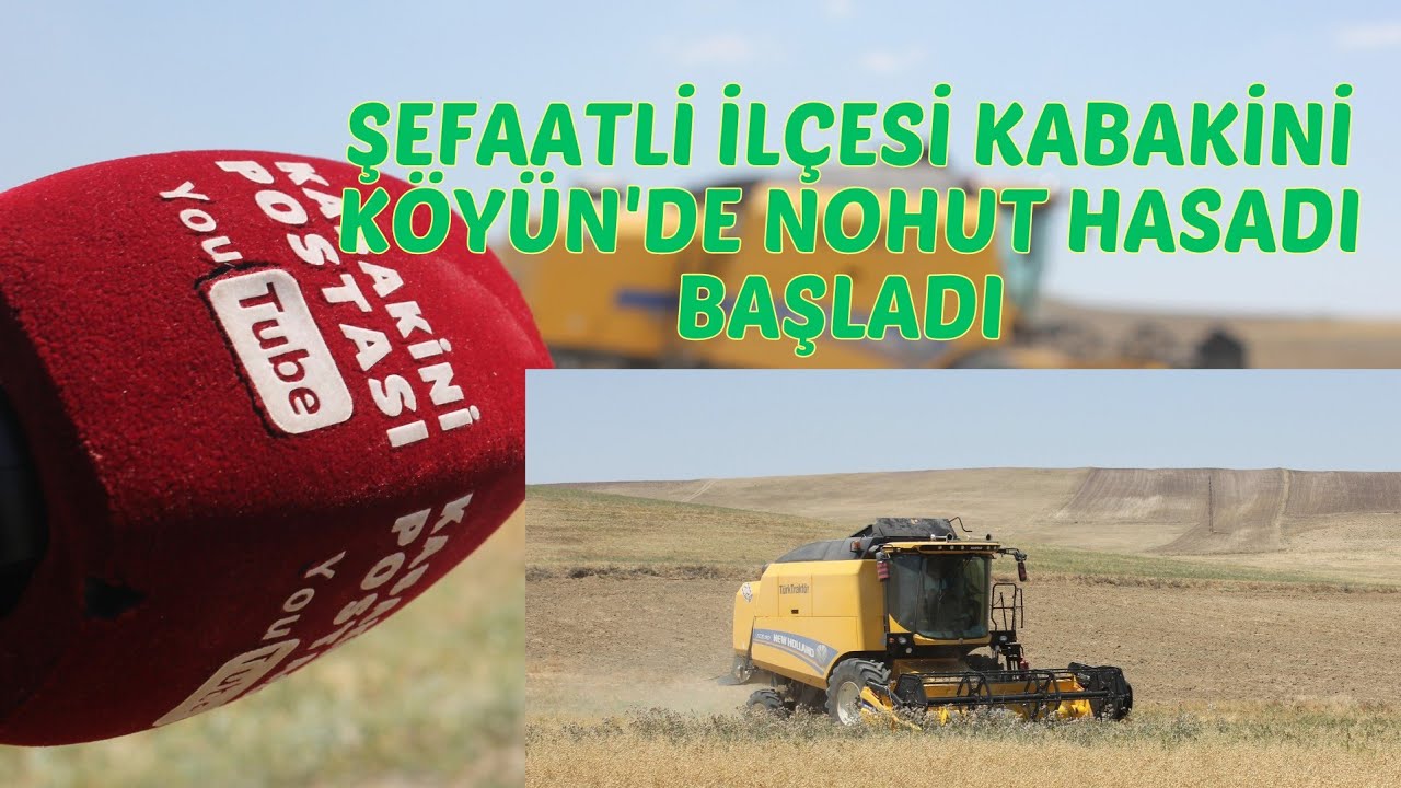 ŞEFAATLİ İLÇESİ KABAKİNİ KÖYÜN'DE NOHUT HASADI BAŞLADI