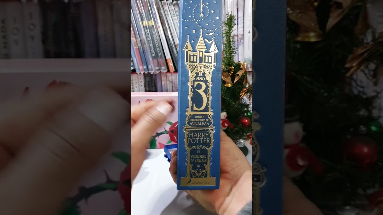 Recap de mis regalos de navidad 2025