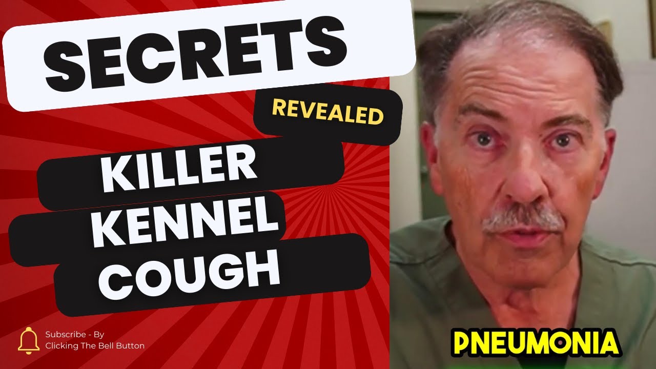 LIVE: Mystery Dog Virus Spreads -  Killer Kennel Cough - The Truth