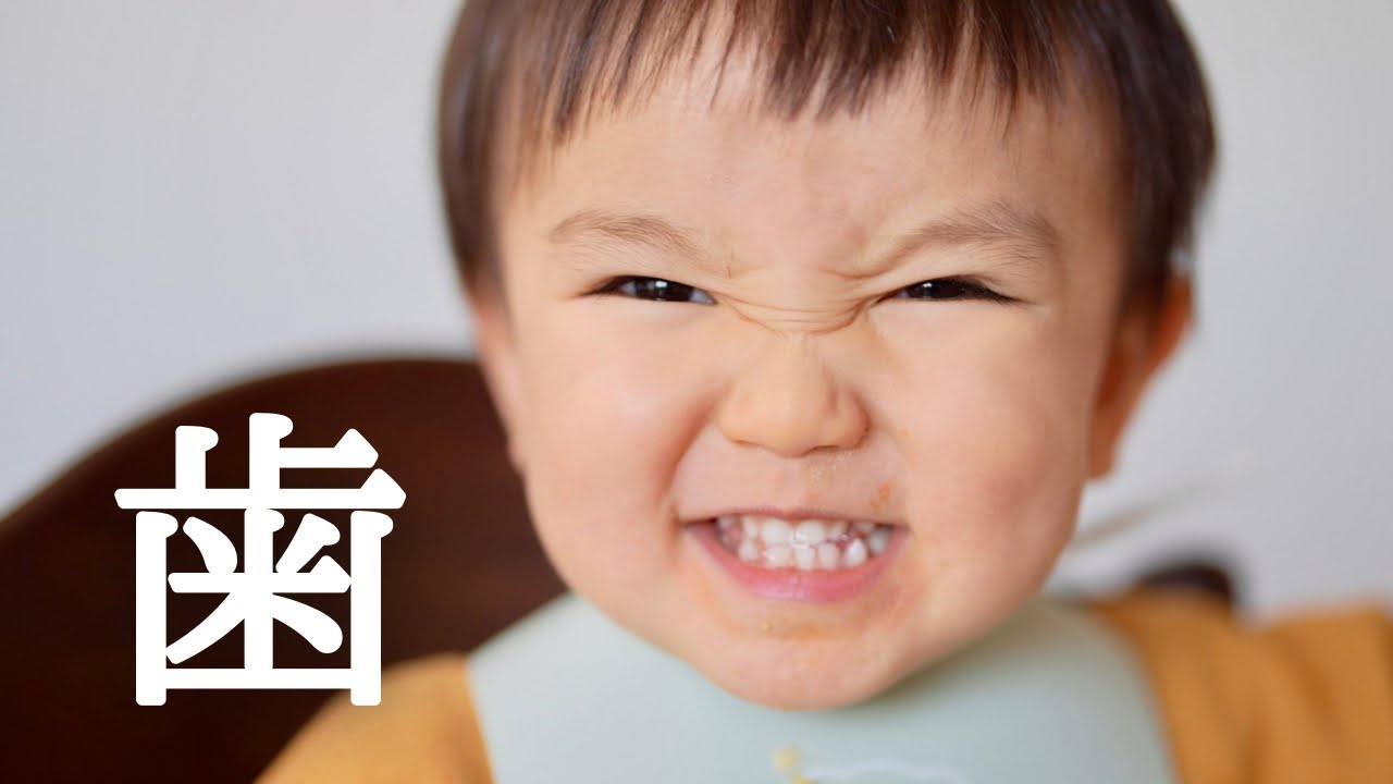 【幼児食】知らなかった…。1歳半歯科検診に行って衝撃の事実発覚！？
