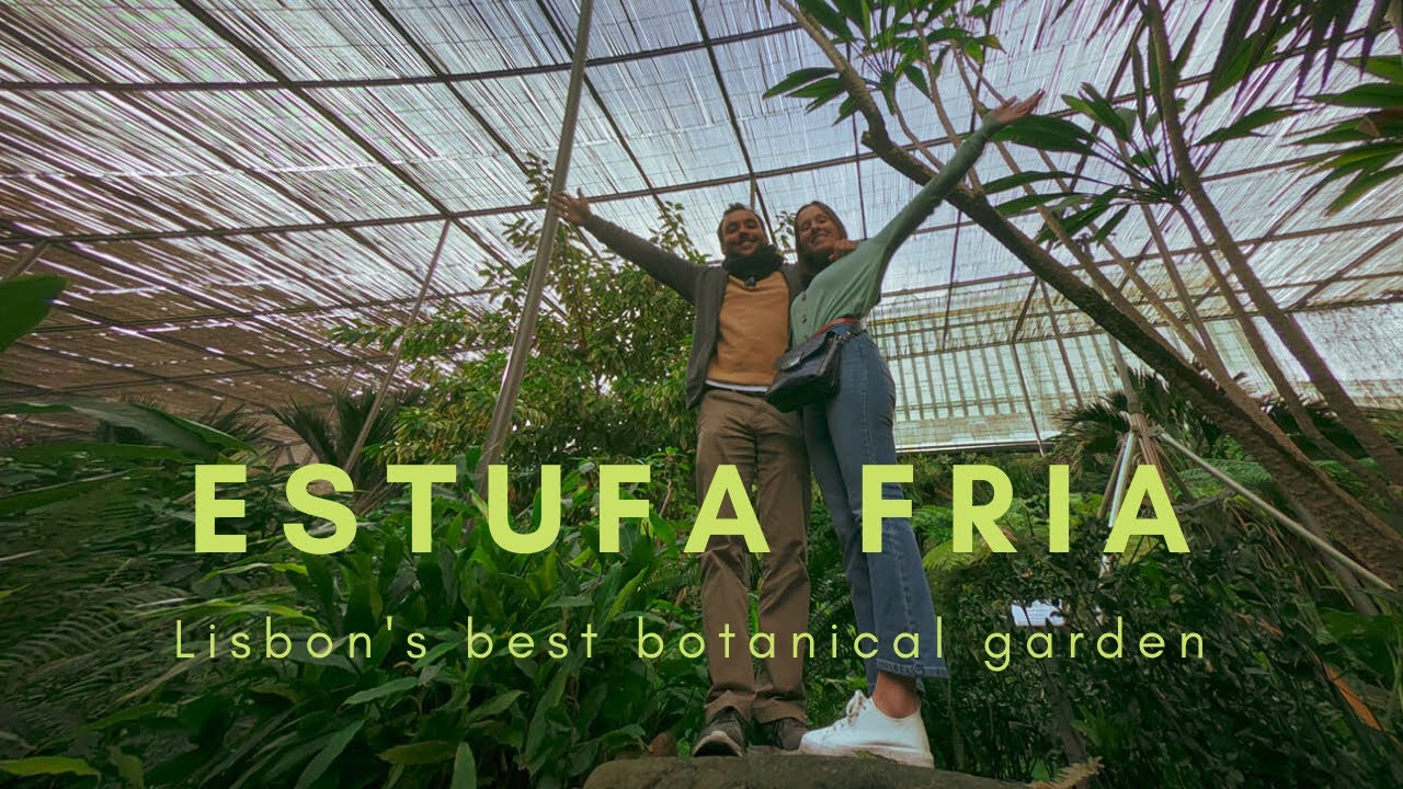 Lisbon's Best Botanical Garden - ESTUFA FRIA