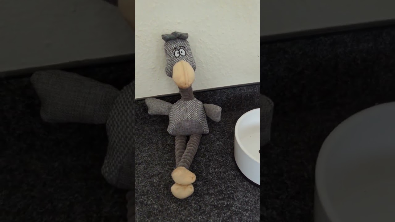 Со школьной скамьи в менеджеры?! У Лёлькина Feel Good Manager возможно все ! 💪😎🐶 #shorts