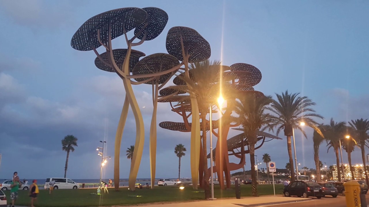 La Pineda 2017