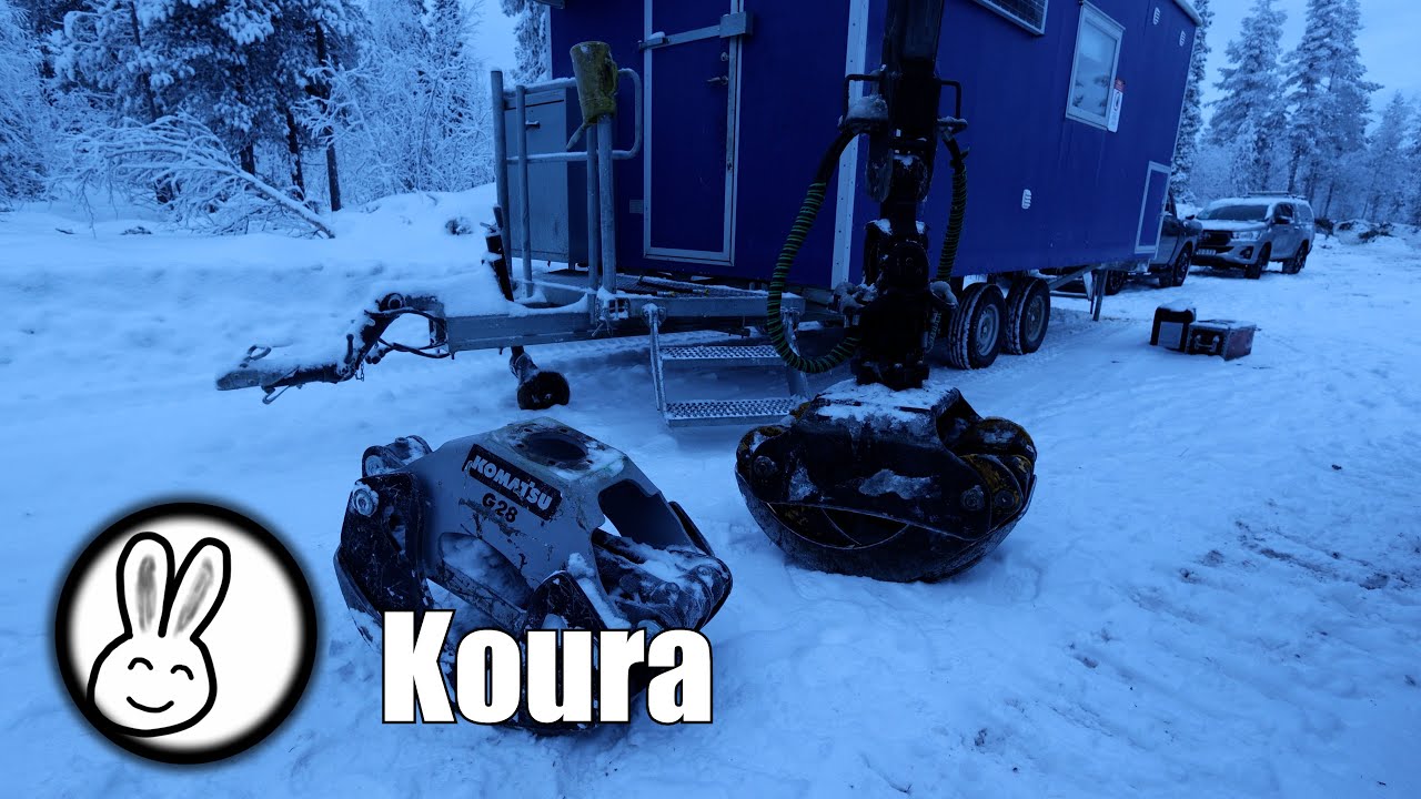 Koura
