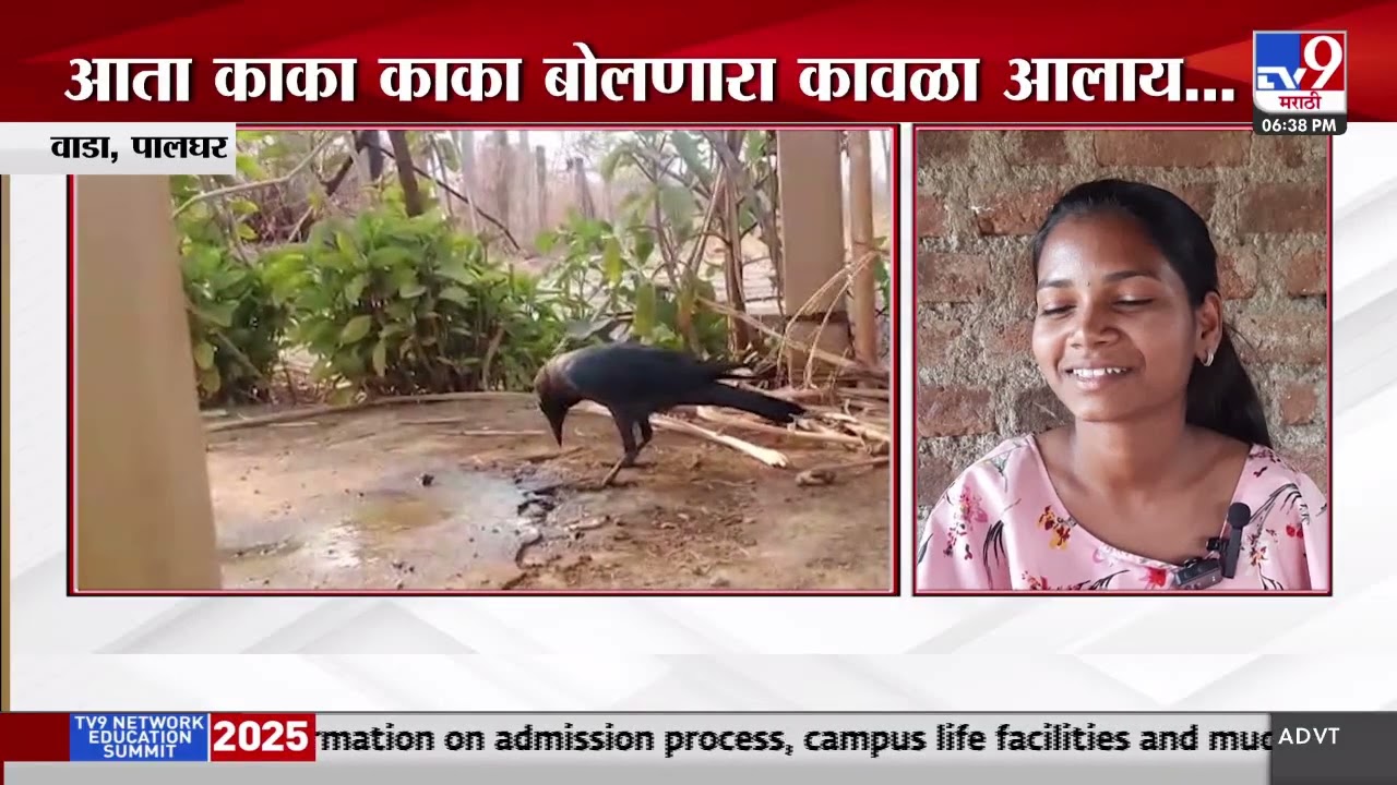 Talking Crow Video | काका, काल्या आवाज देणारा कावळा तुफान व्हायरल | Palghar