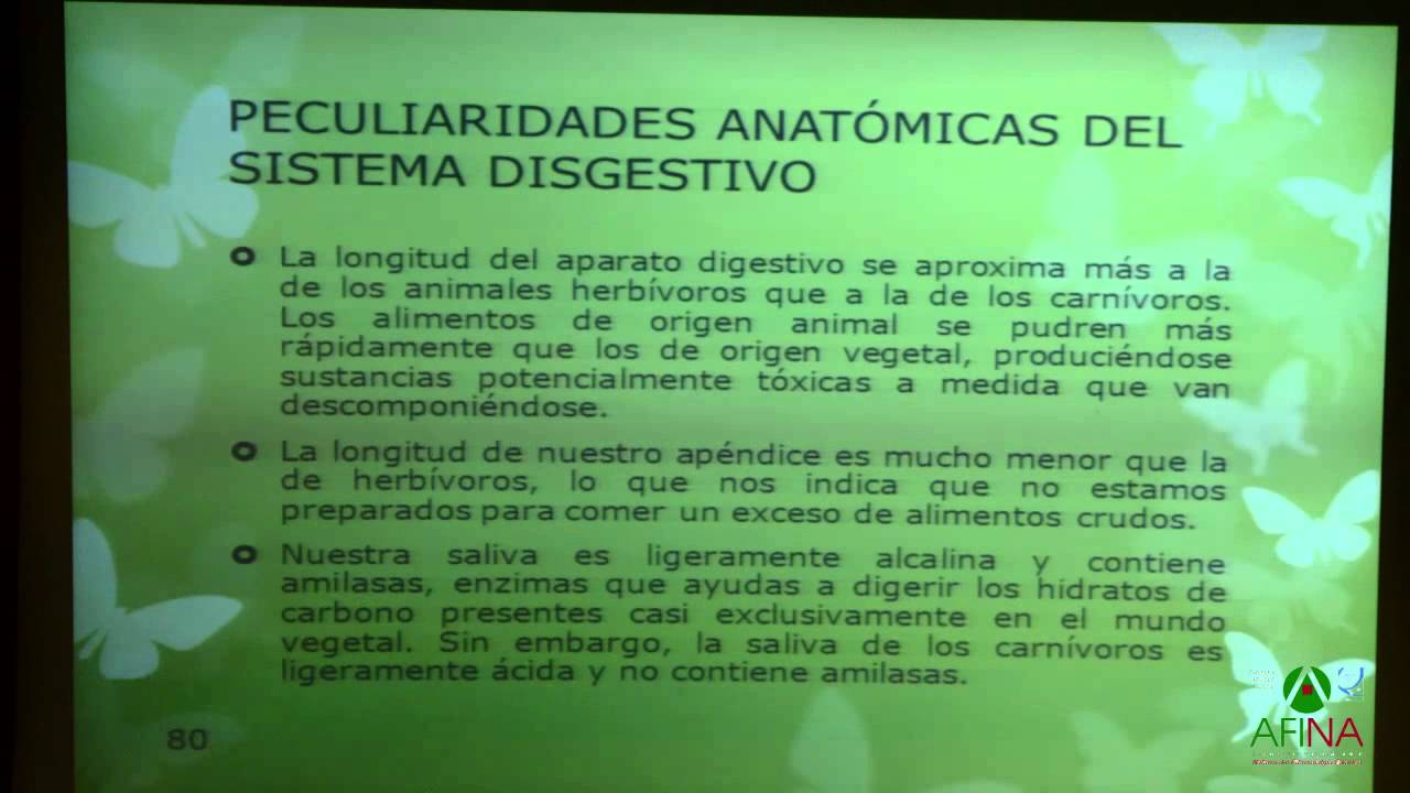 DRA AMAYA FLORES AMONDARAIN  NUTRICIONISTA
