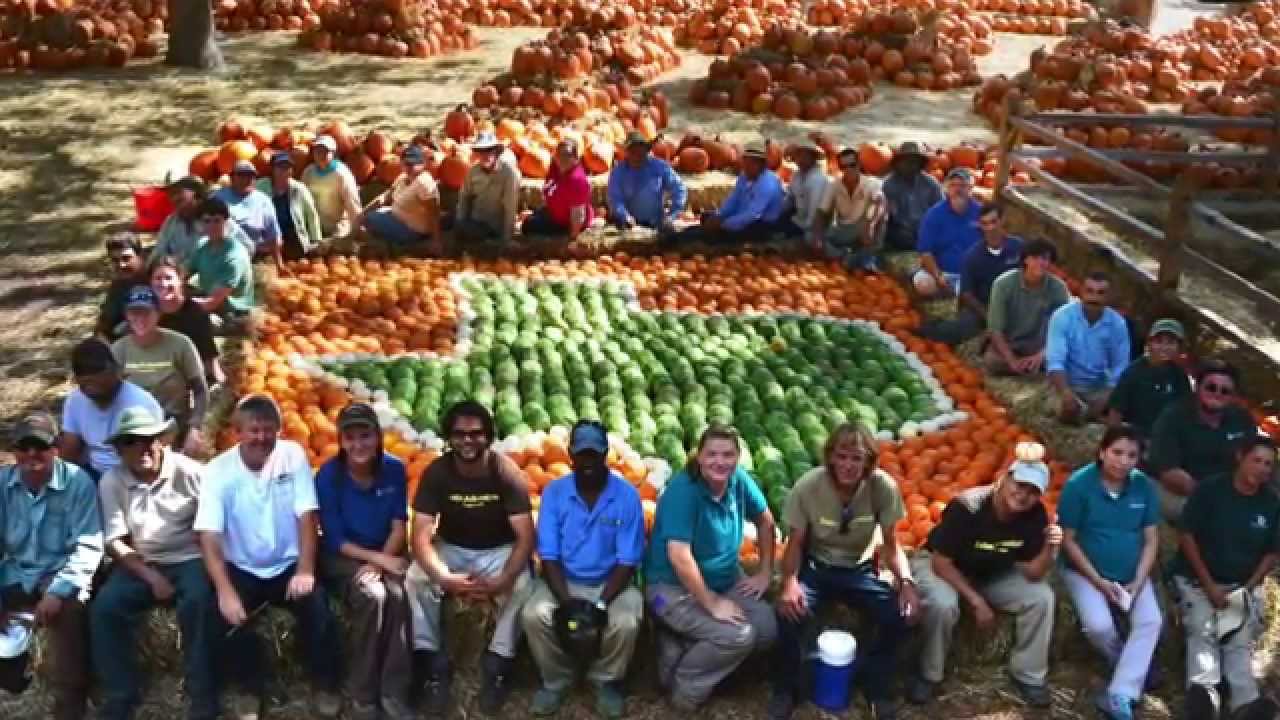 Construction Time Lapse of Pumpkin Village Shot by GoPro
