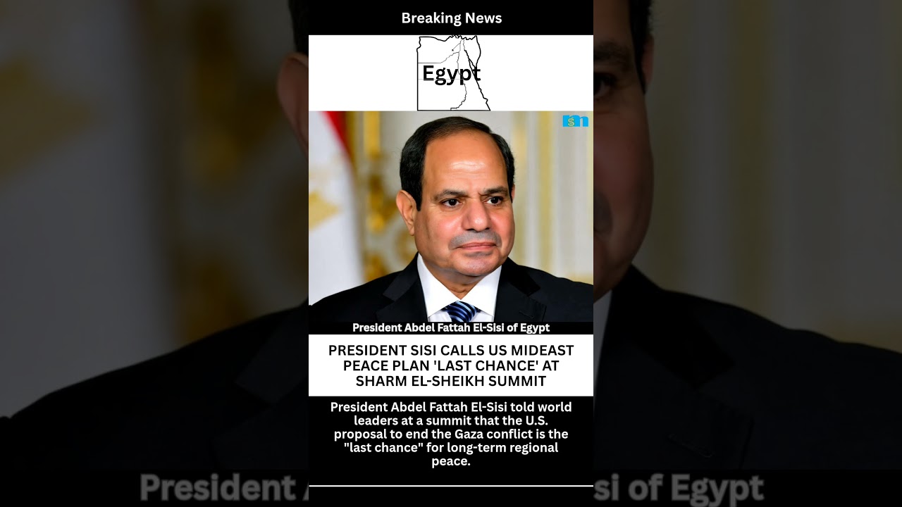 President Sisi Calls US Mideast Peace Plan 'Last Chance' at Sharm el-Sheikh Summit
