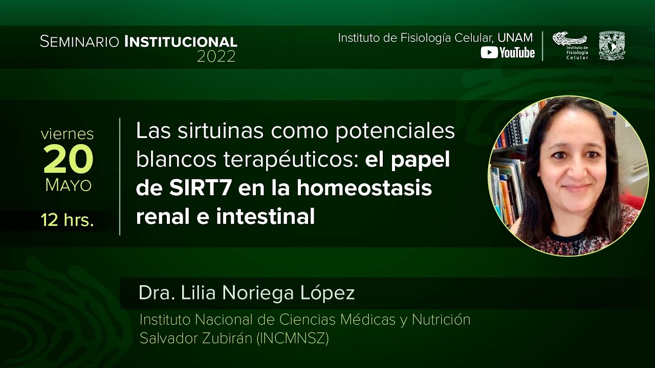 Seminario Institucional 
