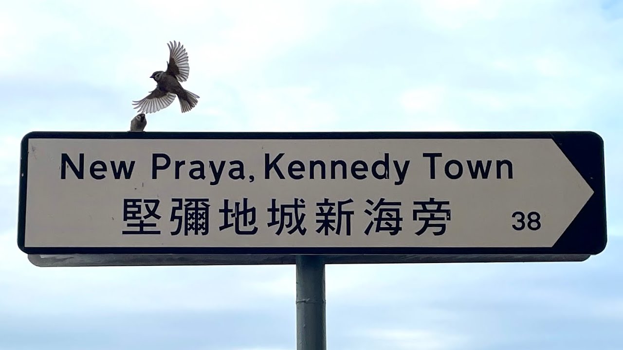 徒步堅尼地城堅彌地城新海旁 City walk in New Praya, Kennedy Town
